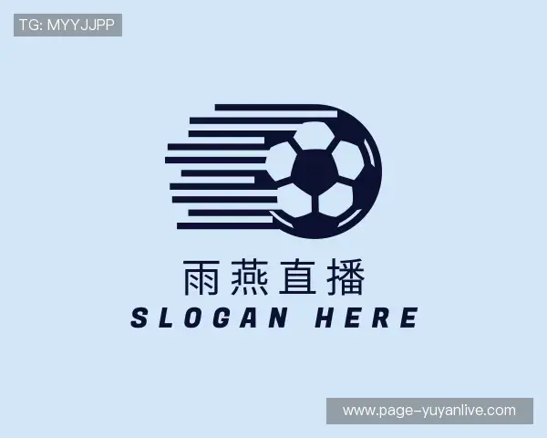 解读雨燕体育直播