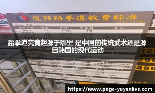 雨燕体育