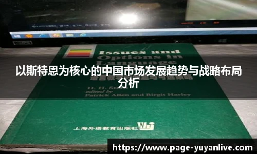 以斯特恩为核心的中国市场发展趋势与战略布局分析