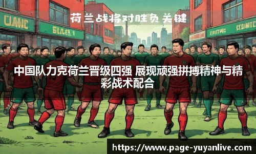 雨燕高清直播