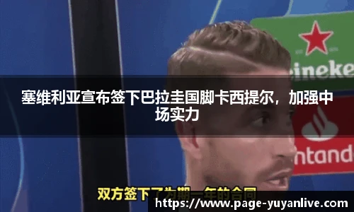雨燕体育
