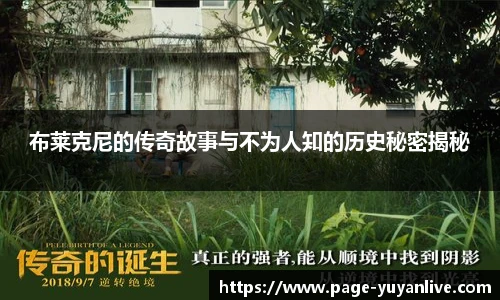 雨燕高清直播