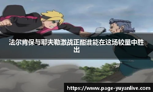 雨燕直播
