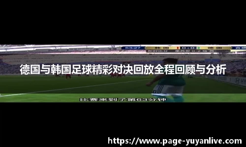 雨燕体育直播