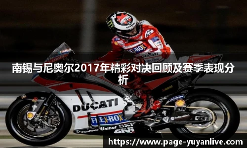 南锡与尼奥尔2017年精彩对决回顾及赛季表现分析
